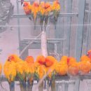 경주버드파크 이미지