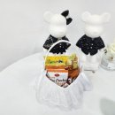 라라댄스스튜디오 이미지