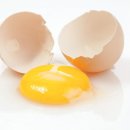 노른자 이미지