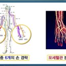 (주)건강백세시대 네이버블로그