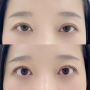 파리바게뜨 용인한보라점 | 동백속눈썹펌 널스래쉬 100% 예약제 비포애프터 후기