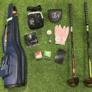 파크골프 입문 이미지