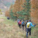 낙동농장 이미지