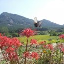 장흥 달바위펜션 이미지