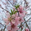 희망찾는마을목공소협동조합 이미지