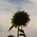 신대충전소 화장실 이미지