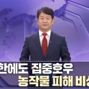 [통일전망대 풀영상/MBC] 김여정 ‘대한민국’ 언급 무엇을 노렸나? 外ㅣ남북교육연구소 230715 이미지