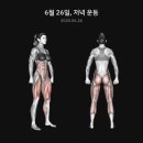 오늘의 운동 이미지