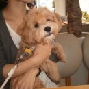 방배천로 24 (4) 이미지