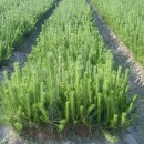 태진농장 이미지