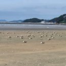 몽산포오페라하우스 이미지