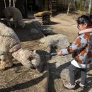 제이디풀빌라(J.D풀빌라) | 아이랑 강릉여행 5세 7세와 함께한 1박2일 루트 정리 (숙소, 식당, 체험)