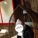 다니엘 캄파넬라 이미지