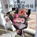 컬러위드플라워 | 달서구 꽃집 컬러위드플라워 무인픽업 가능