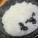 영월경찰서 | 영월맛집 영월현지인 맛집 돌솥생선구이가 맛있었던 청학동 후기