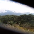 덕유산 산삼 여행 중 만난 참나무 상황버섯 이미지