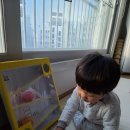 공굴러 가유 이미지