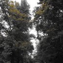 미로호프 이미지