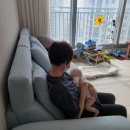 자동차도우미 | 평택 산후도우미 만족 후기! 초산도 둘째도 믿고 맡길 수 있었던 이유