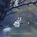다함께생태문화