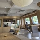 가보자 양주 | 경기도 양주 덕정 애견카페 &#39;포우릿지&#39; 방문 후기 🐶✨