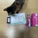 성복역미르약국 네이버블로그