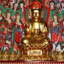 의령 백련암 목조보살좌상과 복장유물 | 의령 백련암 목조보살좌상과 복장유물일괄 (宜寧白蓮癌木造菩薩坐像과腹藏遺物一括)