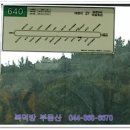 금천1리마을회관 이미지