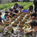 능서초등학교 이미지