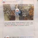 생글한의원 이미지