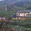 강진산들농원 이미지