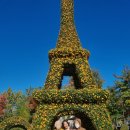 기쁨주는노인복지센터 | 대전주간보호센터 가을 나들이 &#34;유림공원 국화꽃축제&#34; 주차장 후기