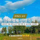 금산인삼쇼핑센타 | 2023년 가을 축제 충남 금산 가볼 만한 곳 금산인삼 쇼핑센타 금산세계 인삼축제