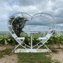 반려동물놀이터 이미지