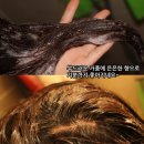 르퀼라야 퓨어텐 샴푸로 두피케어까지!