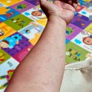 뿌리농장 이미지