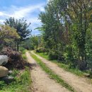 구암동498 이미지