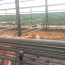 명성농장 이미지