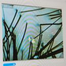 강동-천호-20 | 강동구 두피케어 고민될 때 찾게 되는 숲칼프 강동천호점 솔직후기