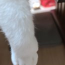 그루밍, 안나 이미지