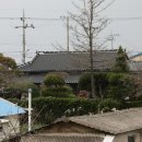 김성철 농장 네이버블로그