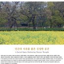 인간의 사유를 품은 신성한 공간 이미지
