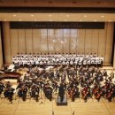 뽀꼬뽀꼬 이미지