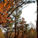 면사무소입구 - 길훈1차(아)앞 | 충주 최초의 길을 연 하늘재와 신비함이 살아있는 미륵대원지