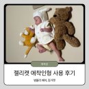 인형속으로 | 젤리캣 애착인형 내돈내산 후기: 범블리 베어 &amp; 퍼들워들 징거캣 (품절 대란 속 교훈)