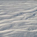 위태목장 이미지