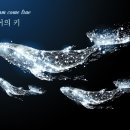 고기출 티스토리
