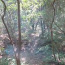 율원5천 | 수도지맥 마지막 제6구간 산주리마을에서 청덕교 합수점까지 산행후기