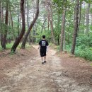 두루봉근린공원 이미지