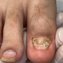 레푸스 판교점 이미지